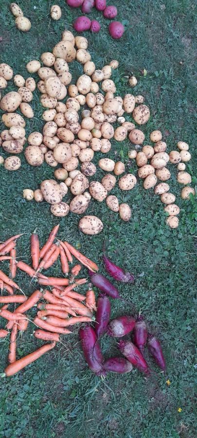 מלון זבליאק Organic Family Farm מראה חיצוני תמונה
