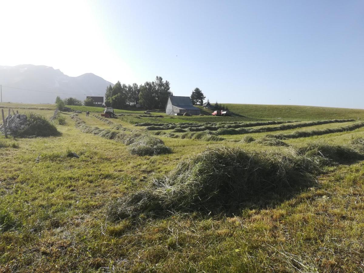 מלון זבליאק Organic Family Farm מראה חיצוני תמונה