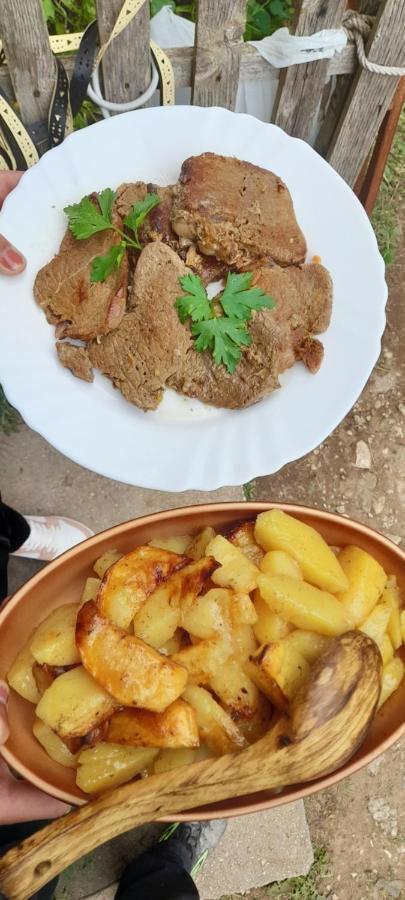 מלון זבליאק Organic Family Farm מראה חיצוני תמונה